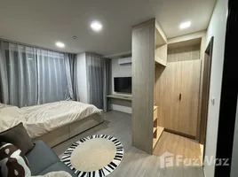 1 Bedroom Apartment for rent at The Muve Paw Bangkhae, Bang Khae Nuea, Bang Khae, Bangkok, Thailand