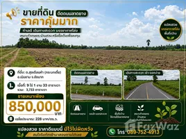  Land for sale in Suk Duean Ha, Chai Nat, Suk Duean Ha, Noen Kham, Chai Nat, Thailand