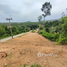  Land for sale in AsiaVillas, Choeng Thale, Thalang, Phuket, Thailand
