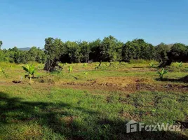 ขายที่ดิน ใน สมอโคน, ตาก, สมอโคน, บ้านตาก, ตาก