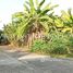  Земельный участок for sale in Khlong Mai, Nakhon Pathom, Khlong Mai