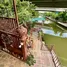 3 Bedroom House for rent in Bangkok Noi Bangkok, Ban Chang Lo, Bangkok Noi, Bangkok
