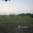  Land for sale in Buak Khang, San Kamphaeng, Buak Khang