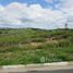  Terrain for sale in Fernando De Noronha, Rio Grande do Norte, Fernando De Noronha, Fernando De Noronha