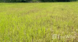 ยูนิตมือสองและให้เช่า