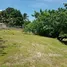  Terrain for sale in Panama Oeste, San Carlos, San Carlos, Panama Oeste