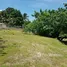  Land for sale in San Carlos, Panama Oeste, San Carlos, San Carlos