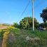  Земельный участок for sale in Pa Tum, Чианг Маи, Pa Tum, Phrao