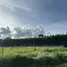  Land for sale in Wang Maprang Nuea, Trang, Wang Maprang Nuea