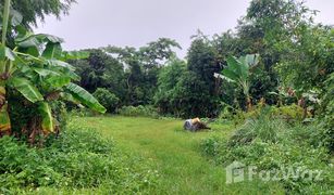 Земельный участок, N/A на продажу в Ban Du, Чианг Рай 