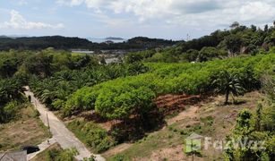 N/A Grundstück zu verkaufen in Pa Khlok, Phuket 