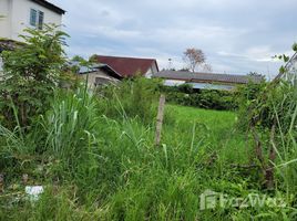  Land for sale in Chiang Mai, Pa Tan, Mueang Chiang Mai, Chiang Mai