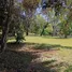  Terreno (Parcela) en venta en Costa Rica, San Mateo, Alajuela, Costa Rica