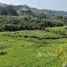  Land for sale in San Jose, Perez Zeledon, San Jose