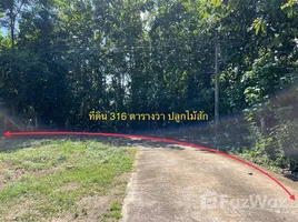  Land for sale in Thailand, Kong Khwai, Mueang Nan, Nan, Thailand