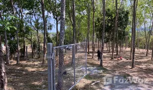N/A Land for sale in Thep Krasattri, Phuket 
