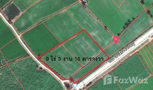 N/A Grundstück zu verkaufen in Kao Liao, Nakhon Sawan 
