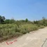  Land for sale in Lat Lum Kaeo, Pathum Thani, Lat Lum Kaeo, Lat Lum Kaeo, Pathum Thani, Thailand