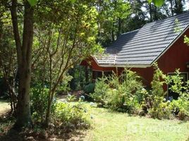 4 Schlafzimmer Warenhaus zu verkaufen in Cautin, Araucania, Villarrica, Cautin, Araucania