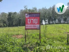 ขายที่ดิน ใน ทะเลน้อย, พัทลุง, ทะเลน้อย, ควนขนุน, พัทลุง