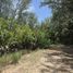 ขายที่ดิน ใน สาคู, ภูเก็ต, สาคู