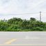  Land for sale in Nakhon Ratchasima, Nong Sarai, Pak Chong, Nakhon Ratchasima