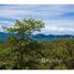  Land for sale in Guanacaste, Santa Cruz, Guanacaste