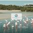 1 спален Квартира на продажу в Vida Residences Creek Beach, Creek Beach
