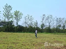  Terrain for sale in Saraphi Chiang Mai, Chomphu, Saraphi