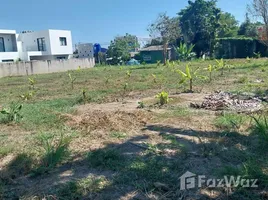 ขายที่ดิน ใน ราไวย์, ภูเก็ต, ราไวย์, เมืองภูเก็ต