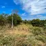  Land for sale in Nong Sarai, Nakhon Ratchasima, Nong Sarai, Pak Chong
