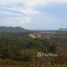  Land for sale in Na Mueang, Koh Samui, Na Mueang