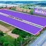  Земельный участок for sale in Nikhom Phatthana, Районг, Nikhom Phatthana, Nikhom Phatthana