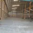  Nave en alquiler en Lat Lum Kaeo, Pathum Thani, Lat Lum Kaeo, Lat Lum Kaeo, Pathum Thani, Tailandia