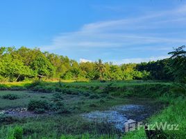 Земельный участок, N/A на продажу в Laem Sak, Краби Rare Location Land on Oceanfront in Ao Luek, Krabi