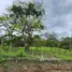  Grundstück zu verkaufen in San Felipe De Puerto Plata, Puerto Plata, San Felipe De Puerto Plata, Puerto Plata