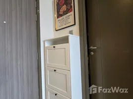 คอนโด 1 ห้องนอน ให้เช่า ในโครงการ ไลฟ์ ลาดพร้าว แวลลี่ย์, จอมพล