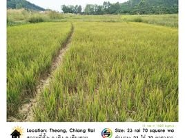  Terrain for sale in Chiang Rai, Ngio, Thoeng, Chiang Rai