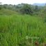  Terreno (Parcela) en venta en Pichincha, San Miguel De Los Bancos, San Miguel de los Bancos, Pichincha