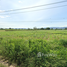  Land for sale in Kanchanaburi, Nong Ri, Bo Phloi, Kanchanaburi