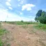  Terreno (Parcela) en venta en Na Mai, Pathum Thani, Na Mai, Lat Lum Kaeo, Pathum Thani, Tailandia