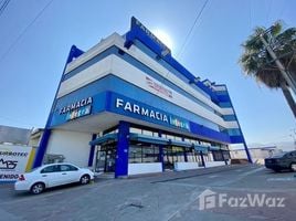 在墨西哥出售的 房产, Tijuana, Baja California, 墨西哥