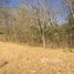  Land for sale in Guanacaste, Santa Cruz, Guanacaste