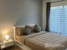 อพาร์ทเม้นท์ 1 ห้องนอน ให้เช่า ในโครงการ แฮปปี้ี้ เพลส คอนโด, สาคู