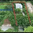 3 Bedroom House for sale in Phe, Rayong, Phe, Mueang Rayong, Rayong, Thailand