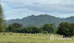 那空那育 Khao Phoem N/A 土地 售 