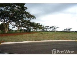  Terreno for sale in Pesquisar, Bertioga, Pesquisar