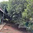  Land for sale in Pak Phli, Nakhon Nayok, Pak Phli, Pak Phli, Nakhon Nayok