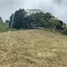  Land for sale in Cartago, Cartago, Cartago
