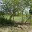  Land for sale in Hua Hin Prachuap Khiri Khan, Thap Tai, Hua Hin, Prachuap Khiri Khan